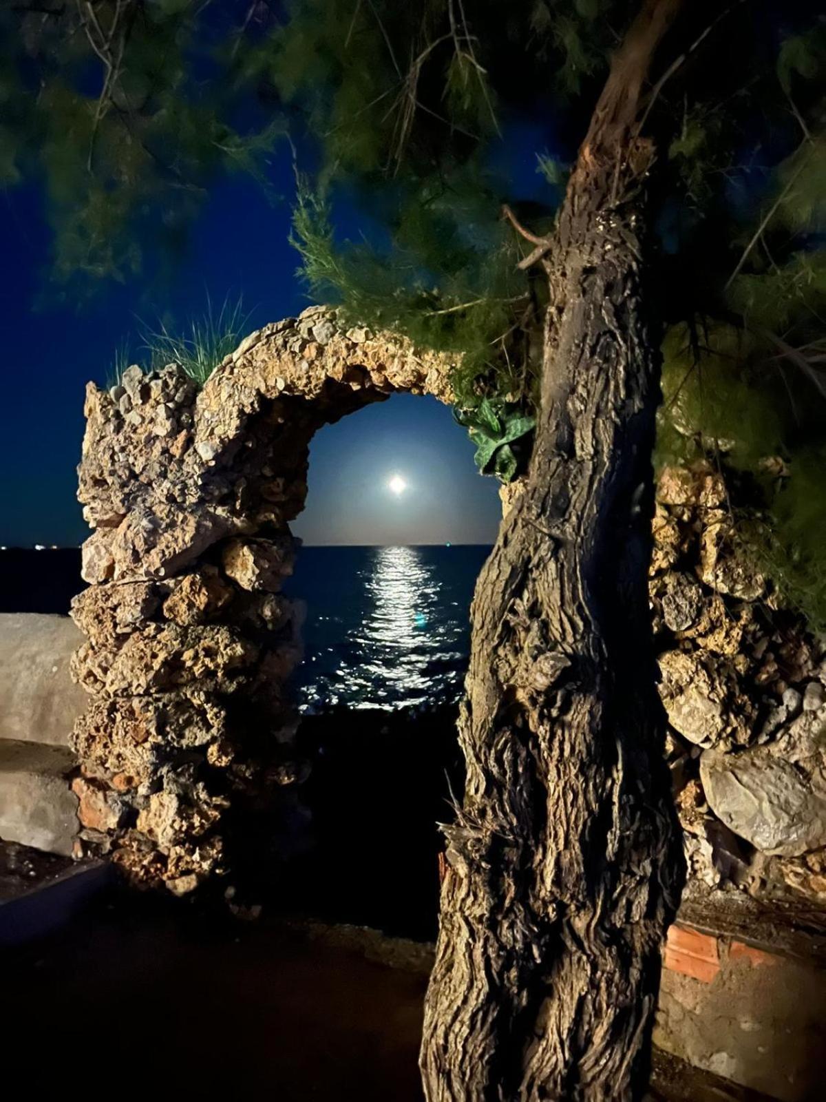 Apartmán Pis La Rapita Alcanar Exteriér fotografie