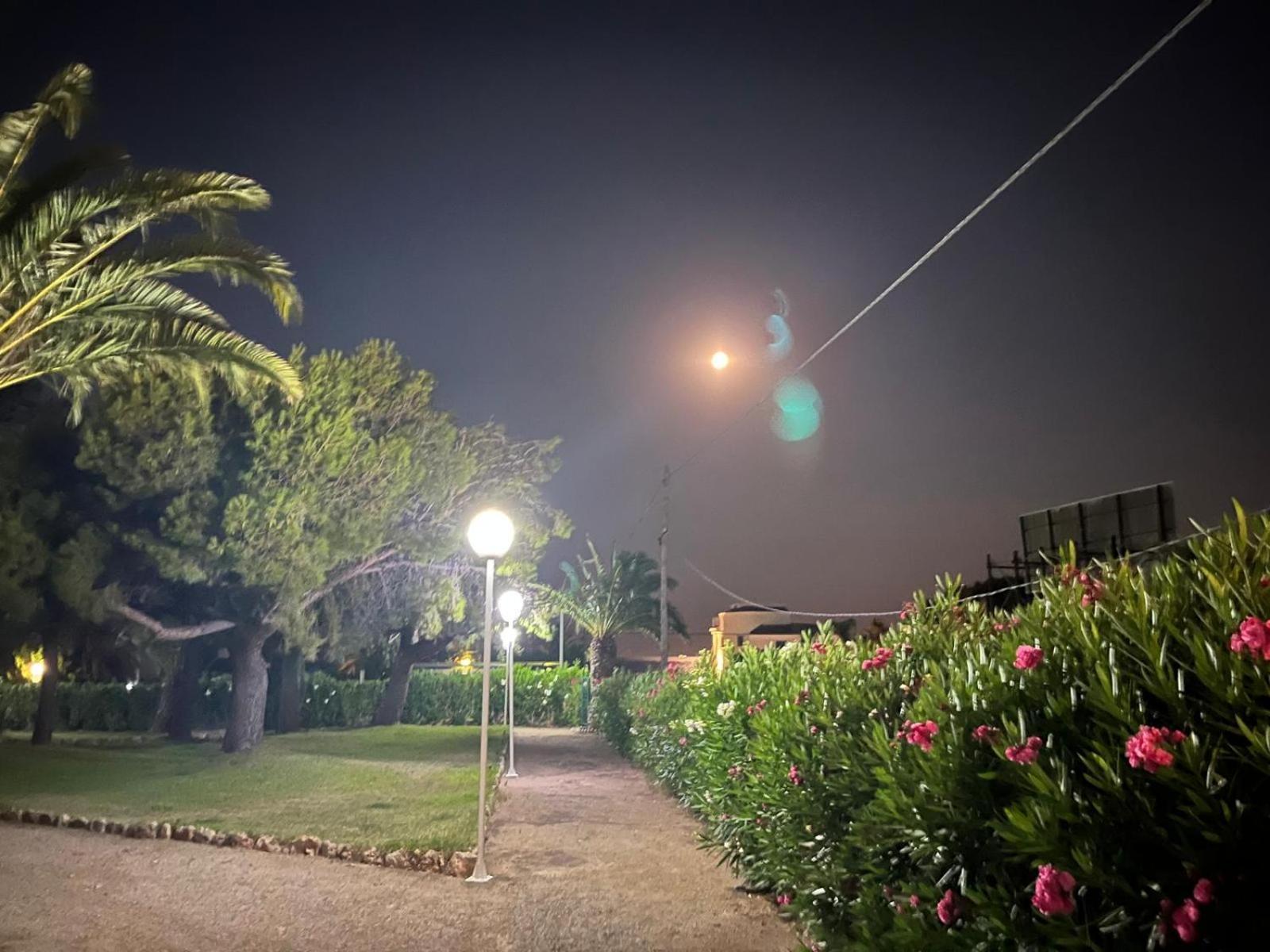 Apartmán Pis La Rapita Alcanar Exteriér fotografie